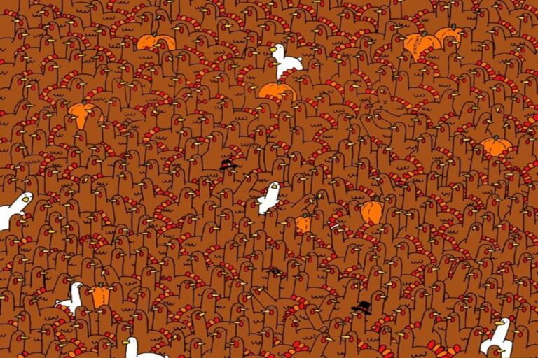 Desafio relâmpago: encontre a maçã escondida entre os perus em 25 segundos