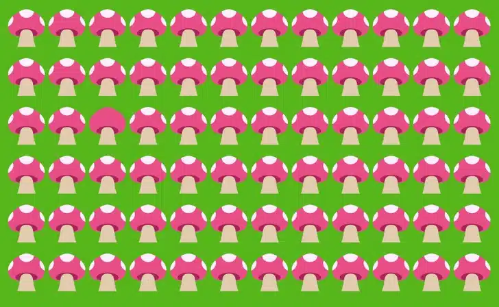 Desafio relâmpago: encontre o cogumelo que foge do padrão em 20 segundos